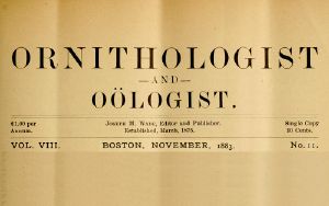 [Gutenberg 59108] • The Ornithologist and Oölogist. Vol. VIII, No. 11, November, 1883 / Birds: Their Nests and Eggs